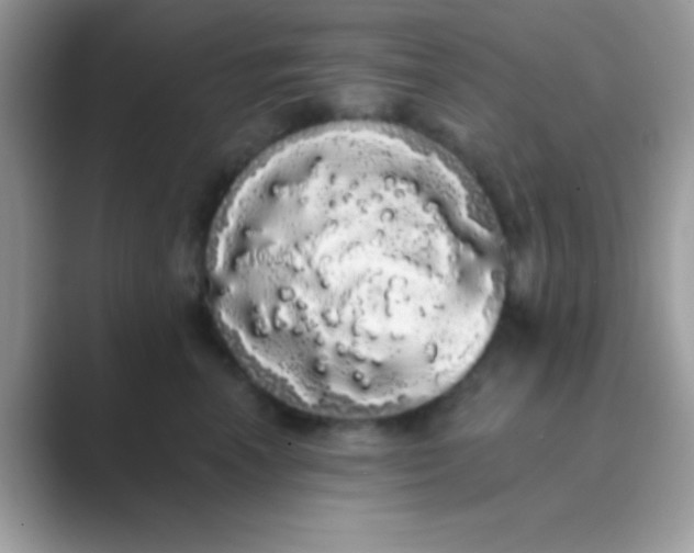 X0000089760666200707051834