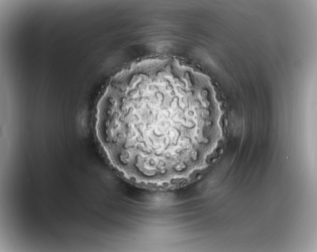 X0000089760670200707051834