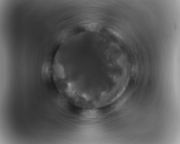 X0000089760671200707051834