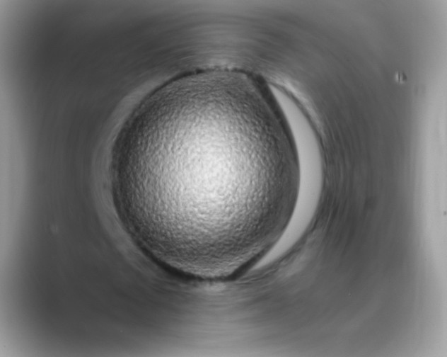 X0000089760673200707051834