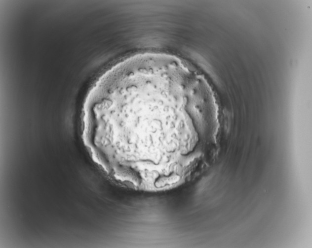 X0000089760675200707051834