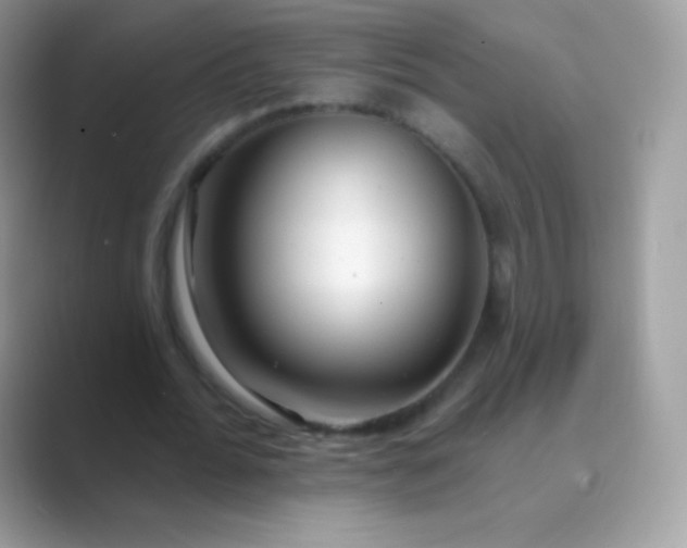 X0000089760676200707051834