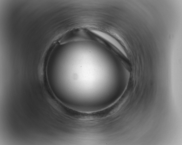 X0000089760677200707051834