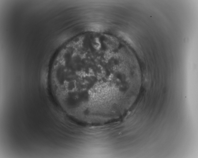 X0000089760679200707051833