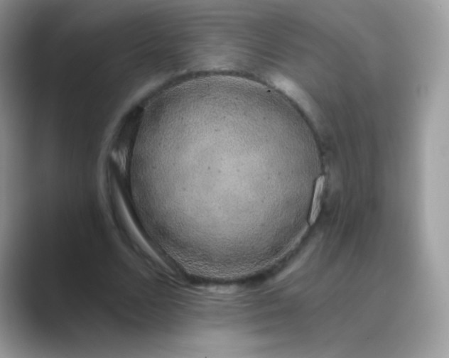 X0000089760680200707051833