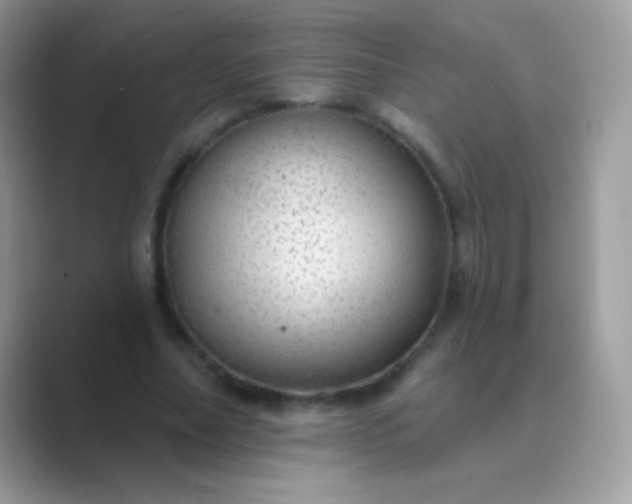 X0000089760682200707051833