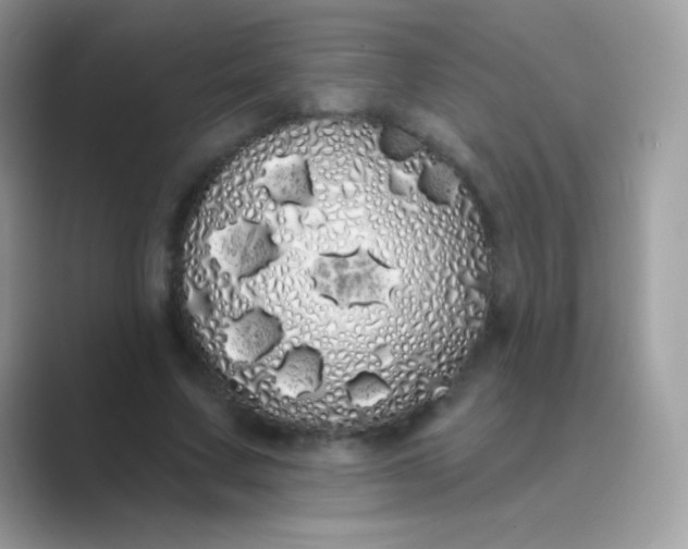 X0000089760683200707051833