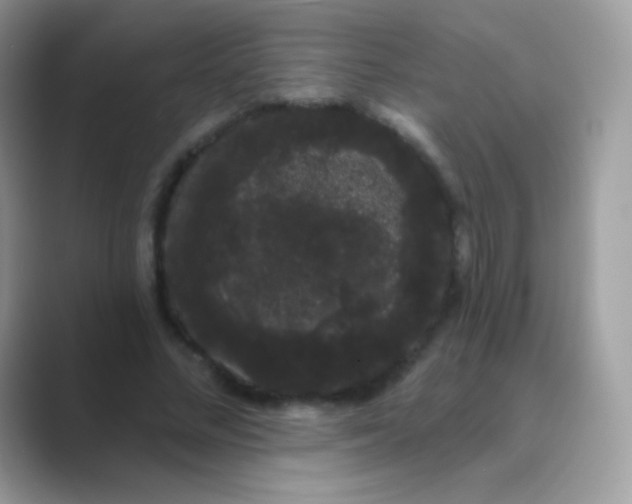 X0000089760684200707051833