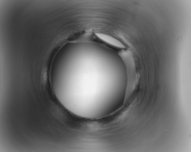 X0000089760685200707051833