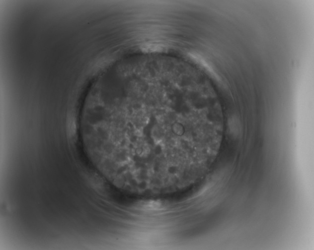 X0000089760687200707051833