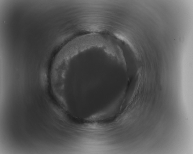 X0000089760688200707051833