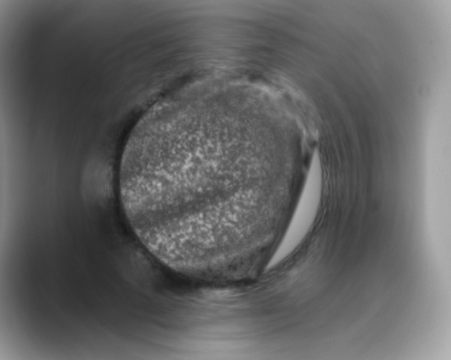 X0000089760689200707051833