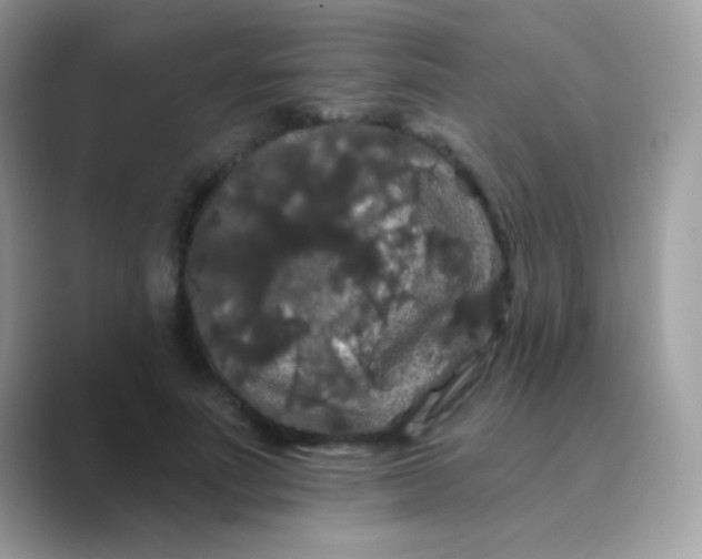 X0000089760691200707051833