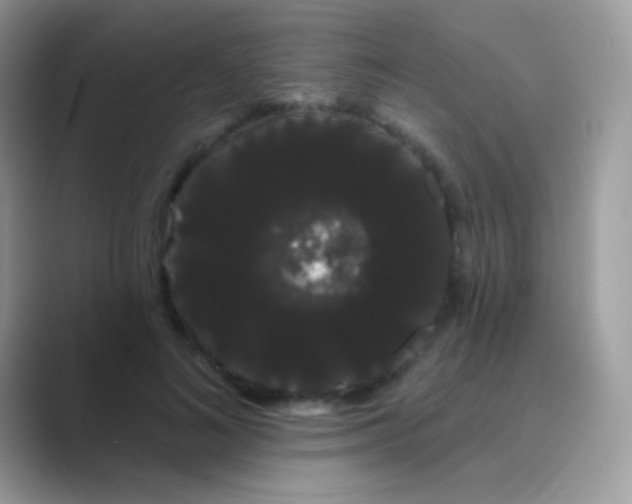 X0000089760692200707051833