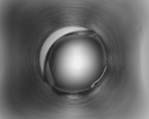 X0000089760693200707051833