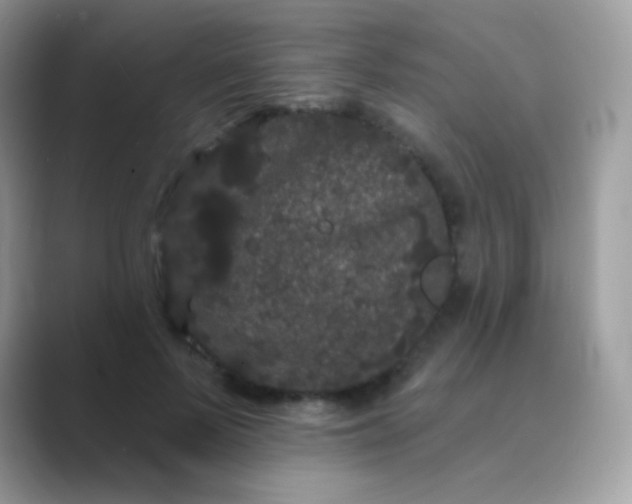 X0000089760695200707051833