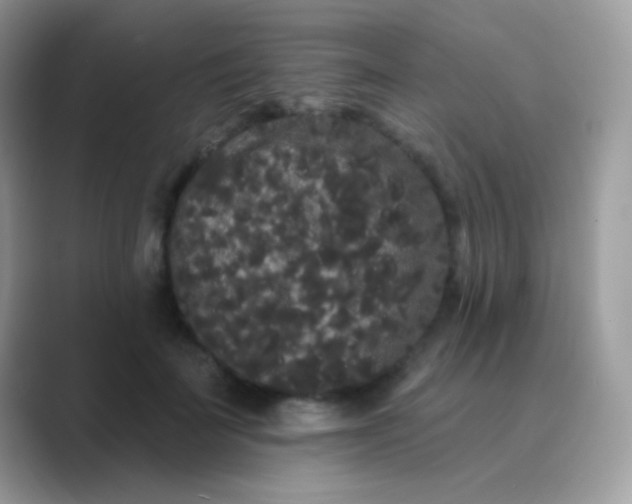 X0000089760699200707051833