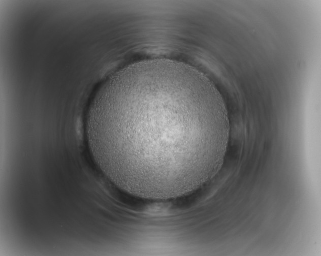 X0000089760700200707051833