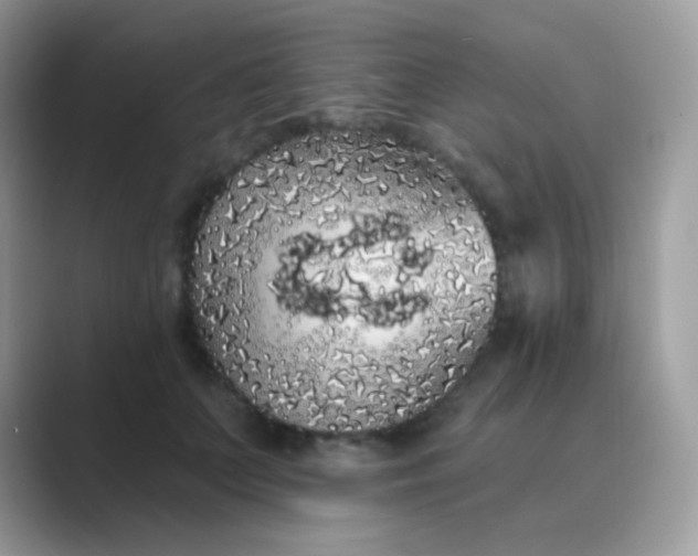 X0000089760703200707051833