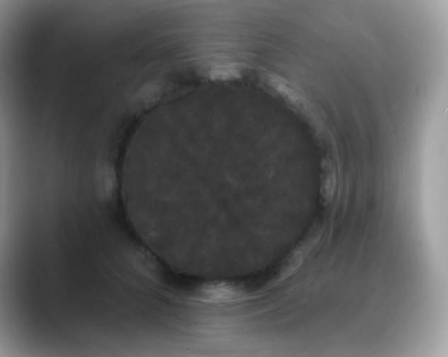 X0000089760704200707051833