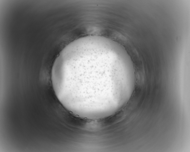 X0000089760705200707051833