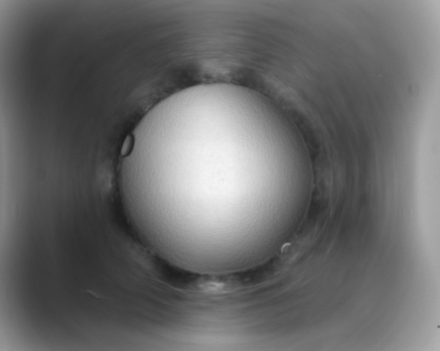 X0000089760706200707051833