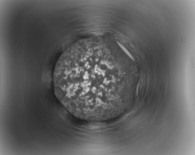 X0000089760707200707051833