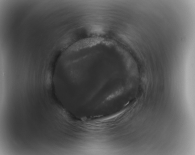 X0000089760708200707051833