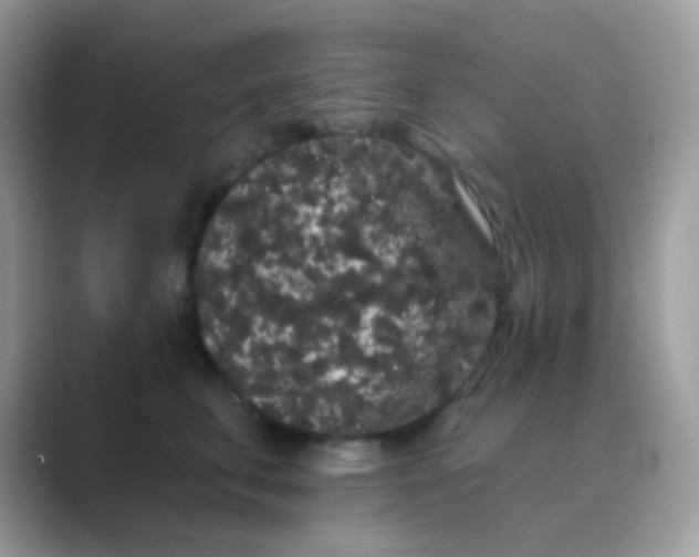 X0000089760711200707051833