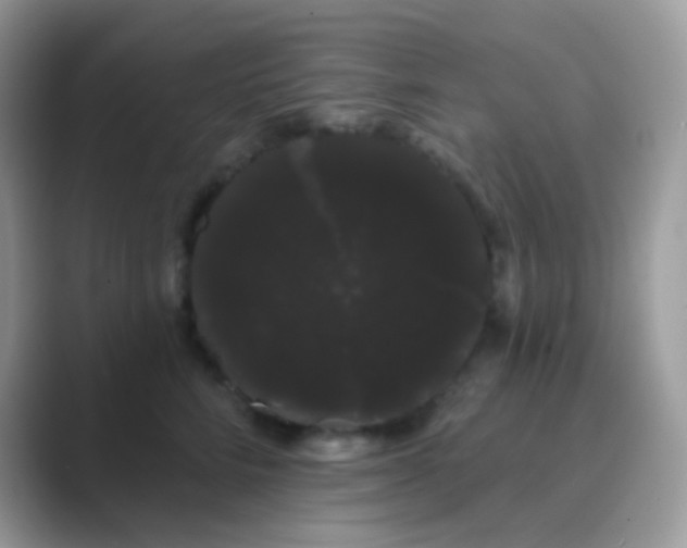 X0000089760712200707051833