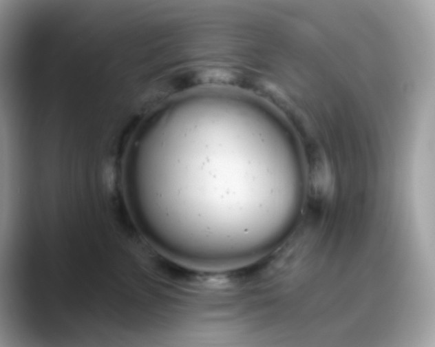 X0000089760715200707051833