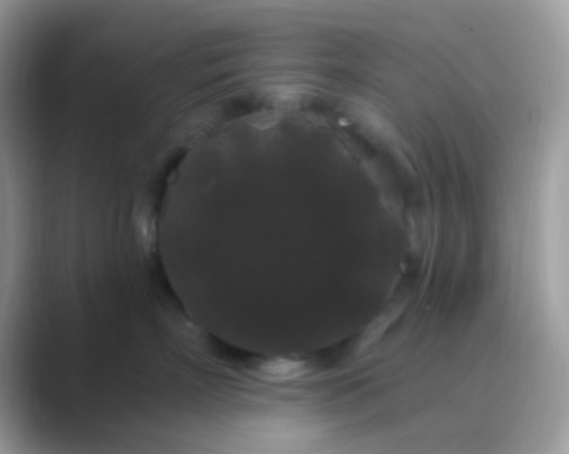 X0000089760718200707051833