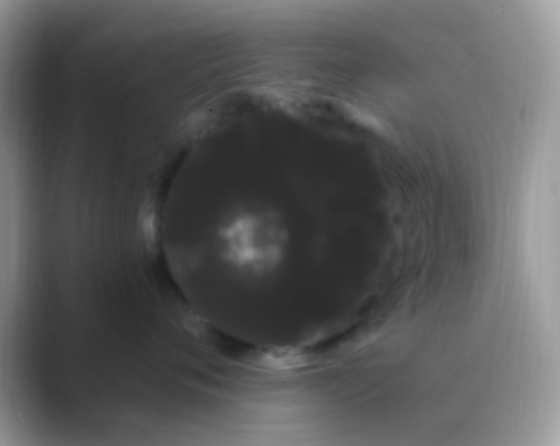 X0000089760720200707051833