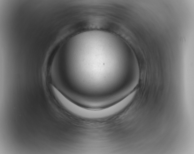 X0000089760722200707051832