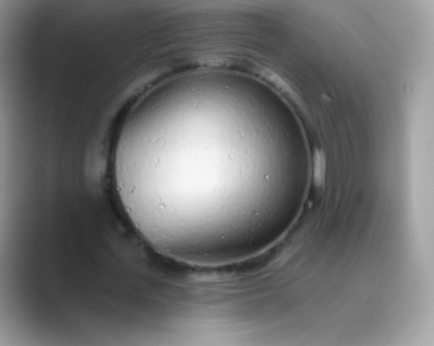 X0000089760723200707051832