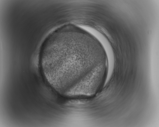 X0000089760724200707051832