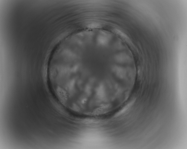 X0000089760725200707051832