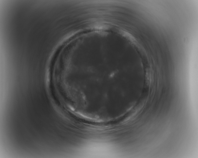 X0000089760726200707051833