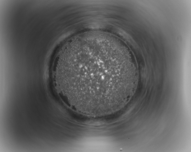 X0000089760727200707051833