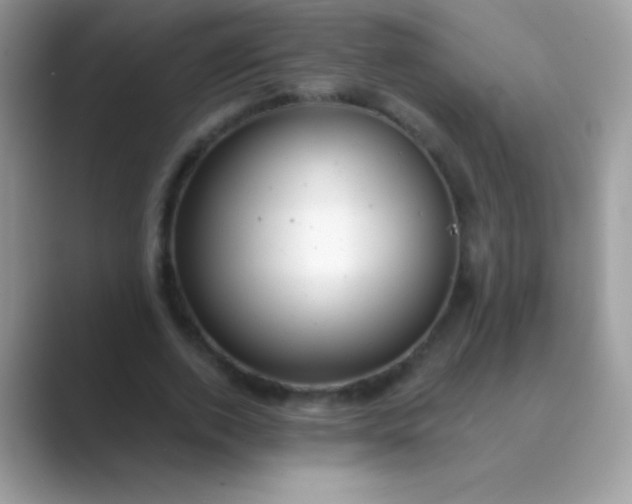 X0000089760728200707051833