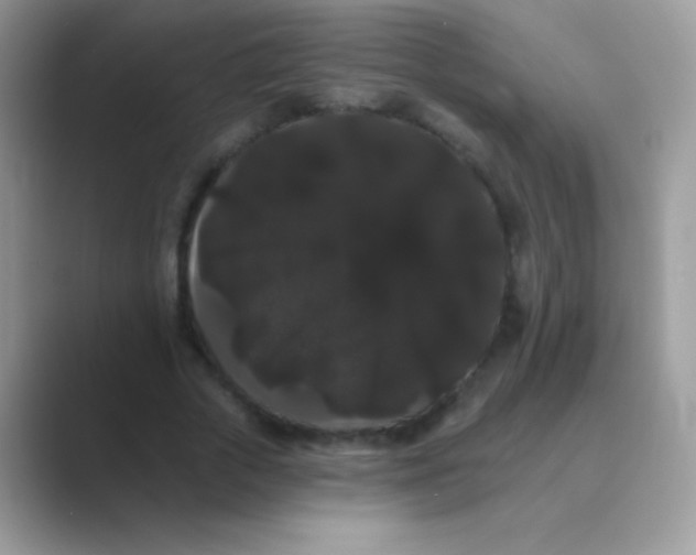 X0000089760729200707051833