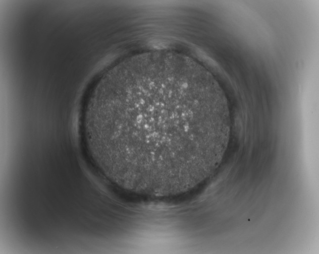 X0000089760730200707051833