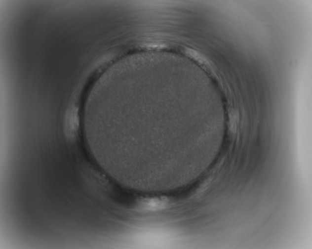 X0000089760731200707051833