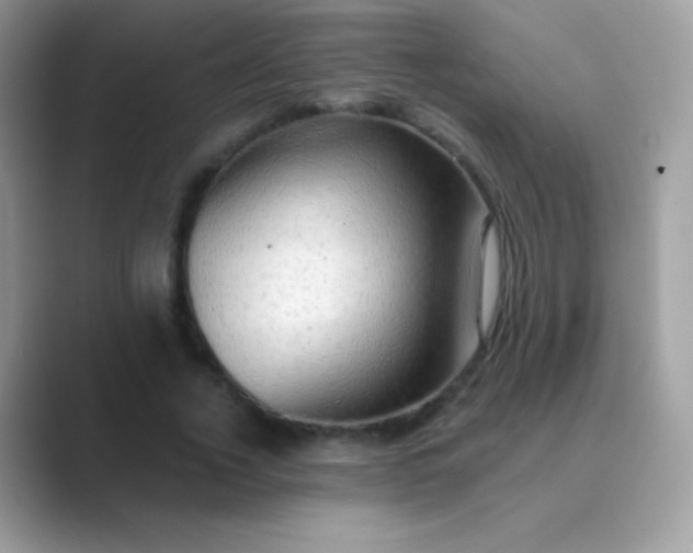 X0000089760732200707051833