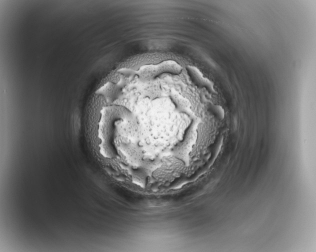 X0000089760733200707051833