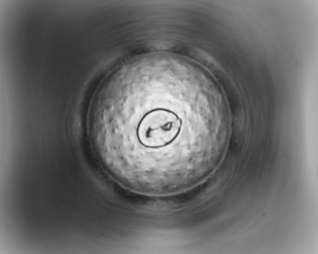 X0000089760734200707051833