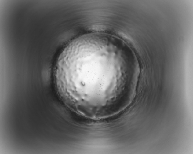 X0000089760735200707051833