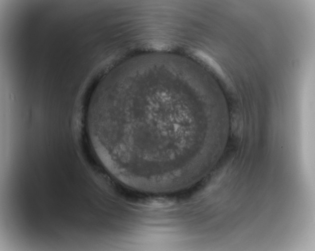 X0000089760736200707051833