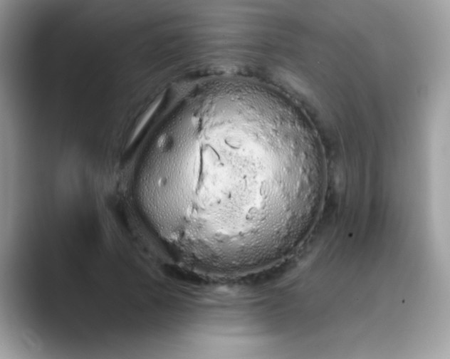 X0000089760737200707051833