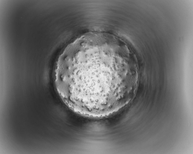 X0000089760738200707051833